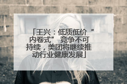 王兴：低质低价“内卷式” 竞争不可持续，美团将继续推动行业健康发展