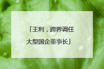 王利，跨界调任大型国企董事长