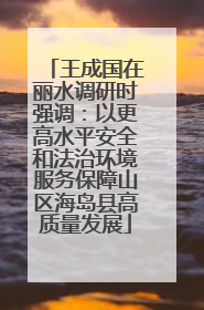 王成国在丽水调研时强调：以更高水平安全和法治环境服务保障山区海岛县高质量发展