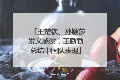 王楚钦、孙颖莎发文感谢，王励勤总结中国队表现