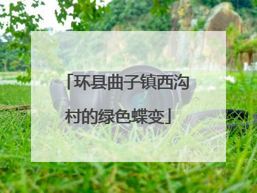 环县曲子镇西沟村的绿色蝶变