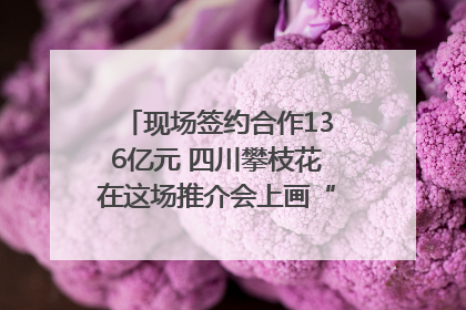 现场签约合作136亿元 四川攀枝花在这场推介会上画“图谱”列“清单”