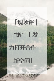 现场评｜“链”上发力打开合作新空间