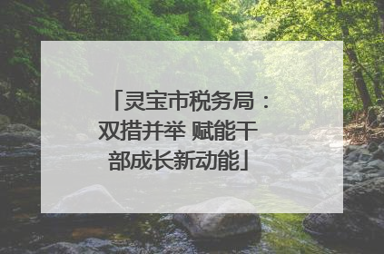 灵宝市税务局：双措并举 赋能干部成长新动能