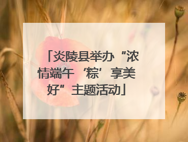 炎陵县举办“浓情端午‘粽’享美好”主题活动