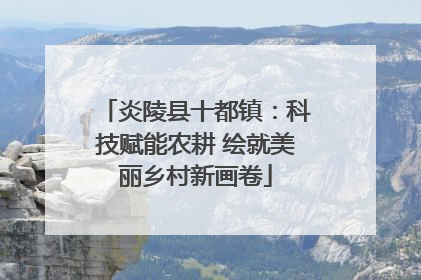 炎陵县十都镇：科技赋能农耕 绘就美丽乡村新画卷