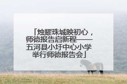 烛耀珠城映初心，师德报告启新程——五河县小圩中心小学举行师德报告会