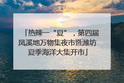 热辣一“夏”，第四届凤溪地万物集夜市暨潍坊夏季海洋大集开市