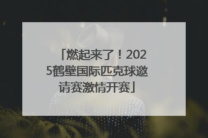 燃起来了！2025鹤壁国际匹克球邀请赛激情开赛