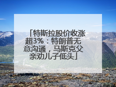 特斯拉股价收涨超3%：特朗普无意沟通，马斯克父亲劝儿子低头