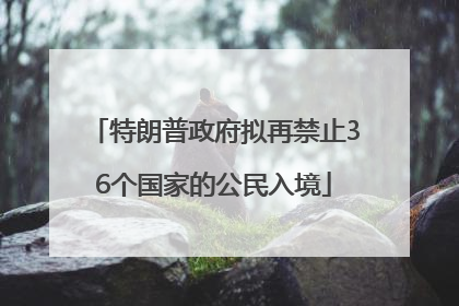 特朗普政府拟再禁止36个国家的公民入境