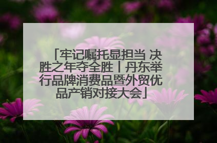 牢记嘱托显担当 决胜之年夺全胜丨丹东举行品牌消费品暨外贸优品产销对接大会