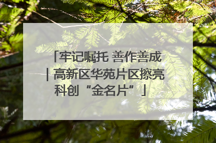 牢记嘱托 善作善成｜高新区华苑片区擦亮科创“金名片”