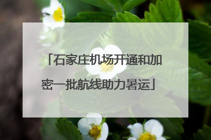 石家庄机场开通和加密一批航线助力暑运