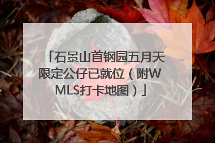 石景山首钢园五月天限定公仔已就位（附WMLS打卡地图）