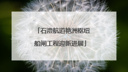 石澧航道艳洲枢纽船闸工程迎新进展