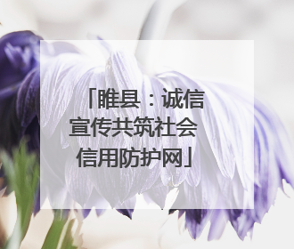 睢县：诚信宣传共筑社会信用防护网