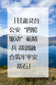 甘肃灵台公安“四轮驱动”砺精兵 战训融合筑牢平安基石