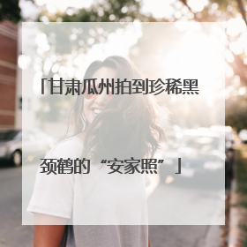 甘肃瓜州拍到珍稀黑颈鹤的“安家照”