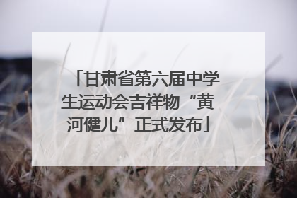 甘肃省第六届中学生运动会吉祥物“黄河健儿”正式发布