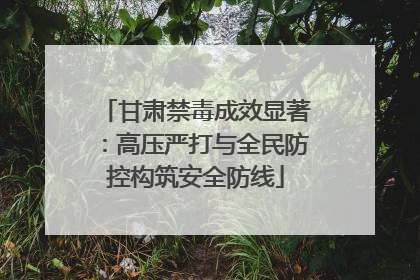 甘肃禁毒成效显著：高压严打与全民防控构筑安全防线