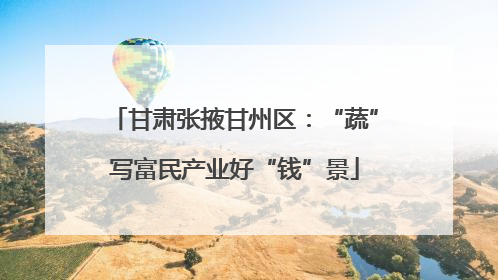 甘肃张掖甘州区：“蔬”写富民产业好“钱”景