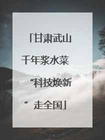 甘肃武山千年浆水菜“科技焕新”走全国