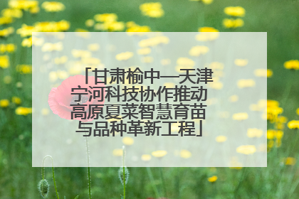 甘肃榆中—天津宁河科技协作推动高原夏菜智慧育苗与品种革新工程