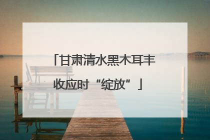 甘肃清水黑木耳丰收应时“绽放”
