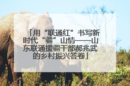用“联通红”书写新时代“疆”山情——山东联通援疆干部郝兆武的乡村振兴答卷