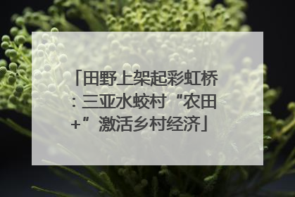田野上架起彩虹桥：三亚水蛟村“农田+”激活乡村经济