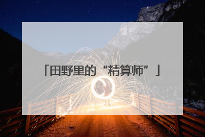 田野里的“精算师”