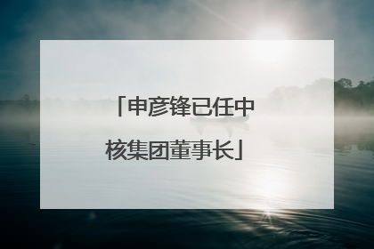 申彦锋已任中核集团董事长