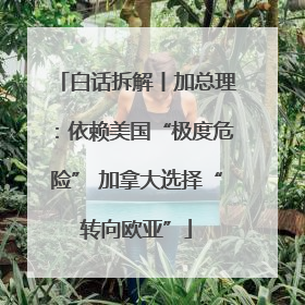 白话拆解丨加总理：依赖美国“极度危险” 加拿大选择“转向欧亚”
