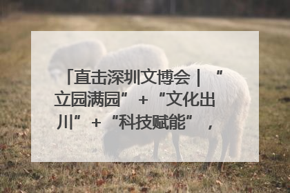 直击深圳文博会｜“立园满园”+“文化出川”+“科技赋能”，成都传媒发布三大文创领域合作清单