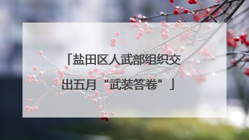 盐田区人武部组织交出五月“武装答卷”