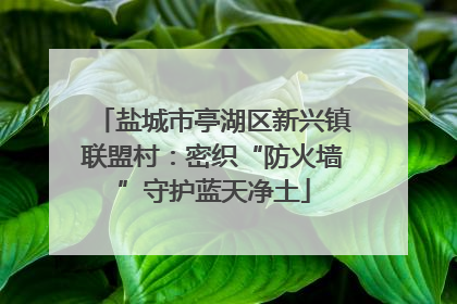 盐城市亭湖区新兴镇联盟村：密织“防火墙”守护蓝天净土
