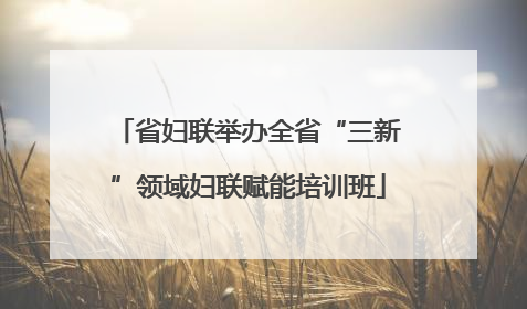 省妇联举办全省“三新”领域妇联赋能培训班