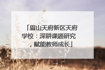 眉山天府新区天府学校：深耕课题研究，赋能教师成长