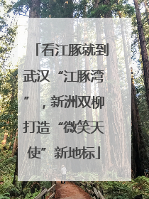 看江豚就到武汉“江豚湾”，新洲双柳打造“微笑天使”新地标