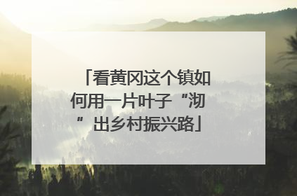 看黄冈这个镇如何用一片叶子“沏”出乡村振兴路