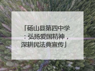 砀山县第四中学：弘扬爱国精神，深耕民法典宣传