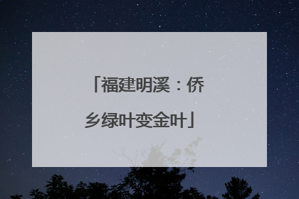 福建明溪：侨乡绿叶变金叶