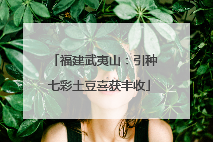 福建武夷山：引种七彩土豆喜获丰收