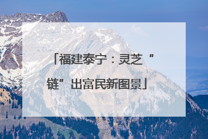 福建泰宁：灵芝“链”出富民新图景