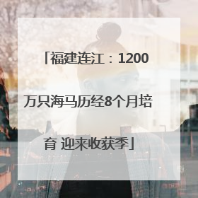 福建连江：1200万只海马历经8个月培育 迎来收获季