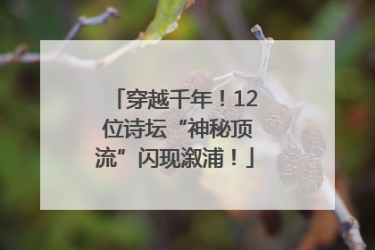 穿越千年！12 位诗坛“神秘顶流”闪现溆浦！