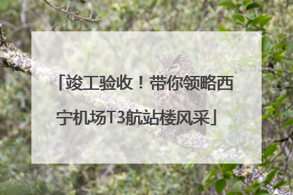 竣工验收！带你领略西宁机场T3航站楼风采