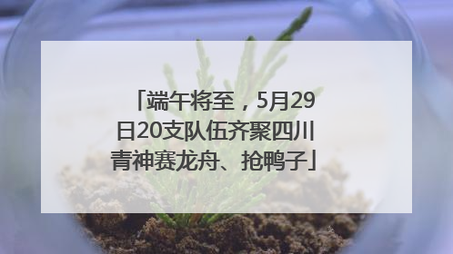 端午将至，5月29日20支队伍齐聚四川青神赛龙舟、抢鸭子