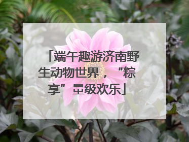端午趣游济南野生动物世界，“粽享”量级欢乐